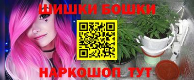 крисы Краснодар