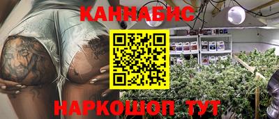 крисы Краснодар