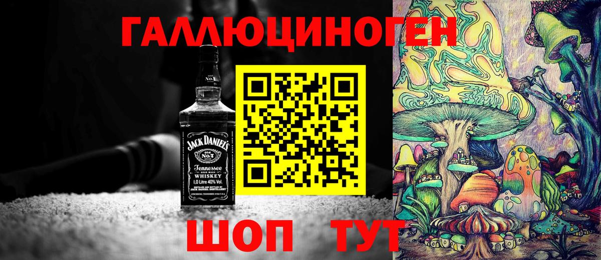 Камышлов  где найти наркотики  Псилоцибиновые грибы Psilocybe  Вход с VPN  Псилоцибиновые грибы мухоморы 